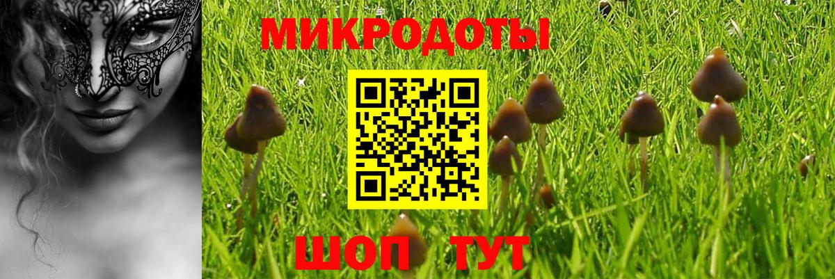 Псилоцибиновые грибы MAGIC MUSHROOMS  Вход с VPN  Шарыпово 